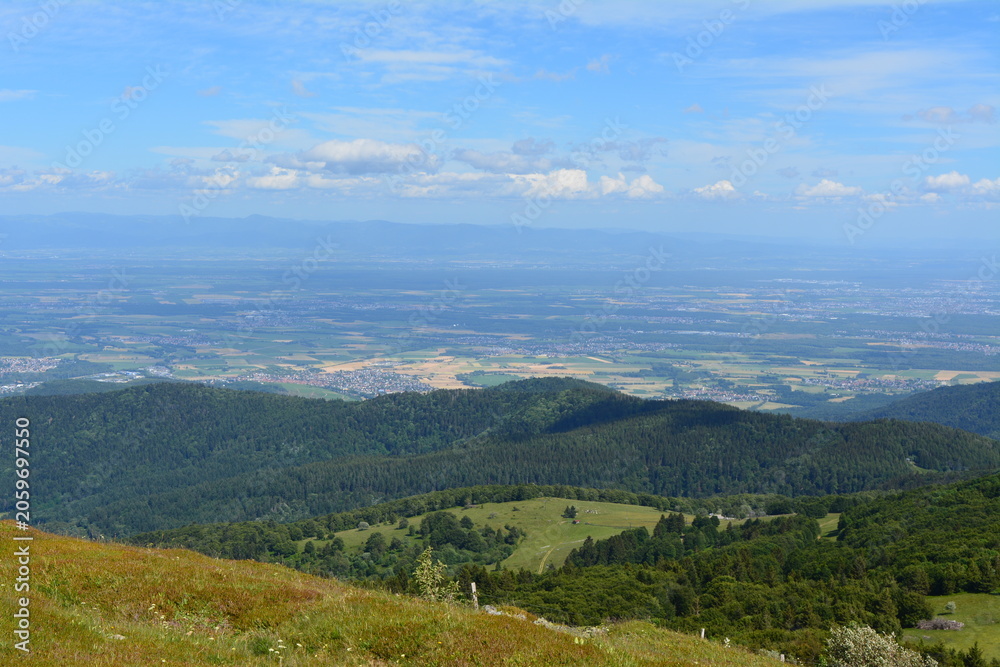 Fototapeta premium Panoramic view of a lush green mountain valley landscape during a bright and sunny summer afternoon