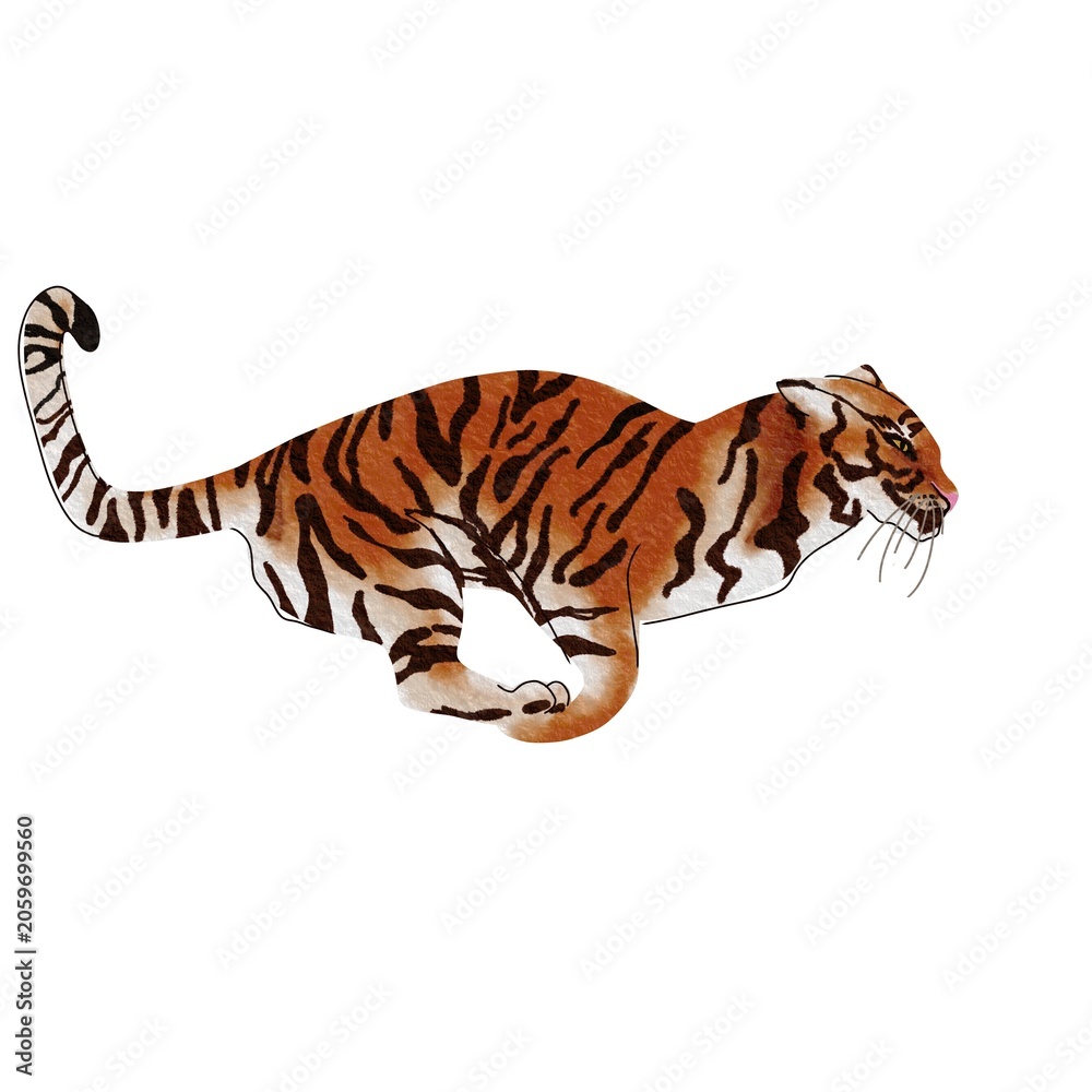 Obraz premium Hand-drawn running tiger illustration isolated on white. Minimalist wild cat character with watercolor texture. Artistic bengal tiger jumping vector clip art for fashion print