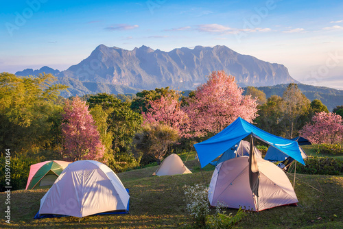 Doi Luang Chiang Dao Mountain and Cherry Blossom with Campsite Moning Sunrise, Chiang Mai Thailand