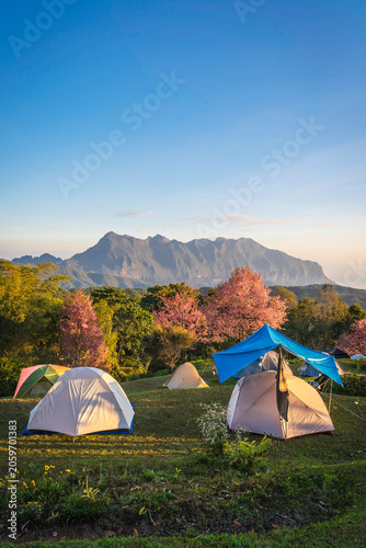 Doi Luang Chiang Dao Mountain and Cherry Blossom with Campsite Moning Sunrise, Chiang Mai Thailand