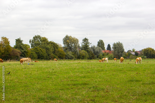 german countryside landscape, Lower Rhine Region, Germany