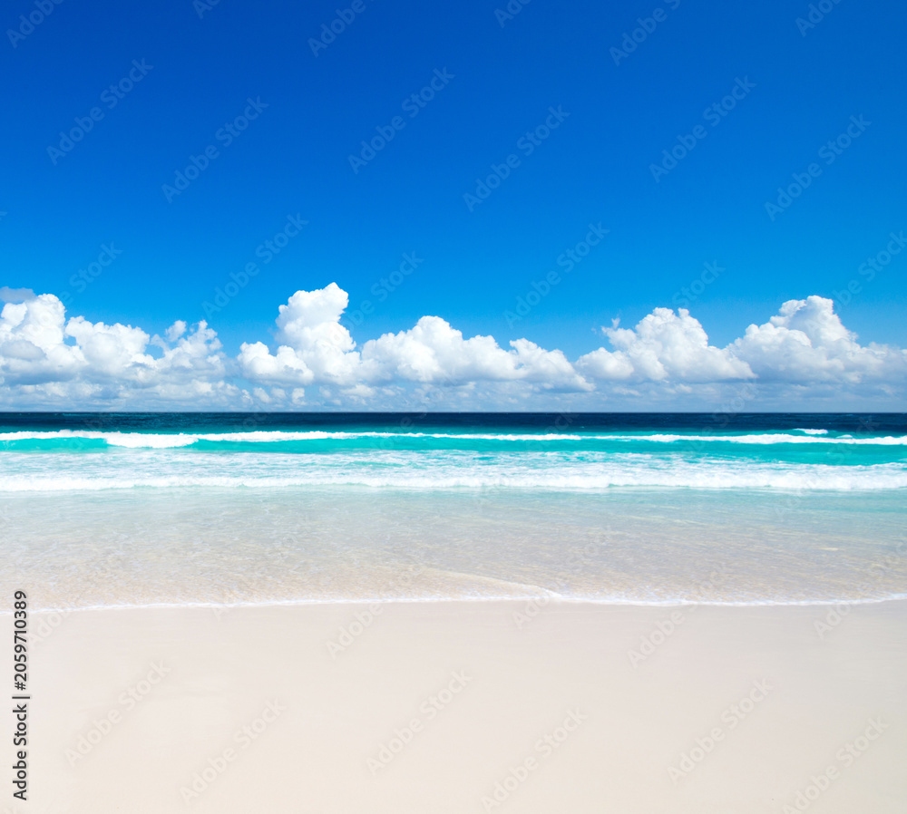 Fototapeta premium Sand of beach caribbean sea. Beach landscape