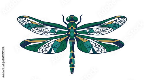 Large Green Dragonfly Insect Macro Closeup.
