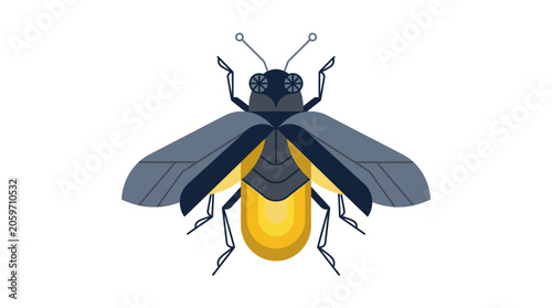 Insect Yellow Black Wings Beetle.
