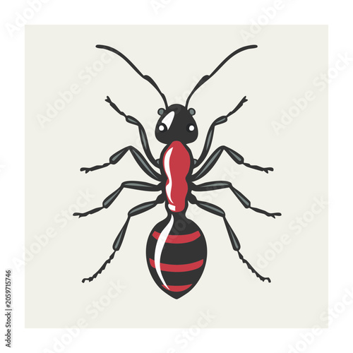 Red and black ant illustration on white background