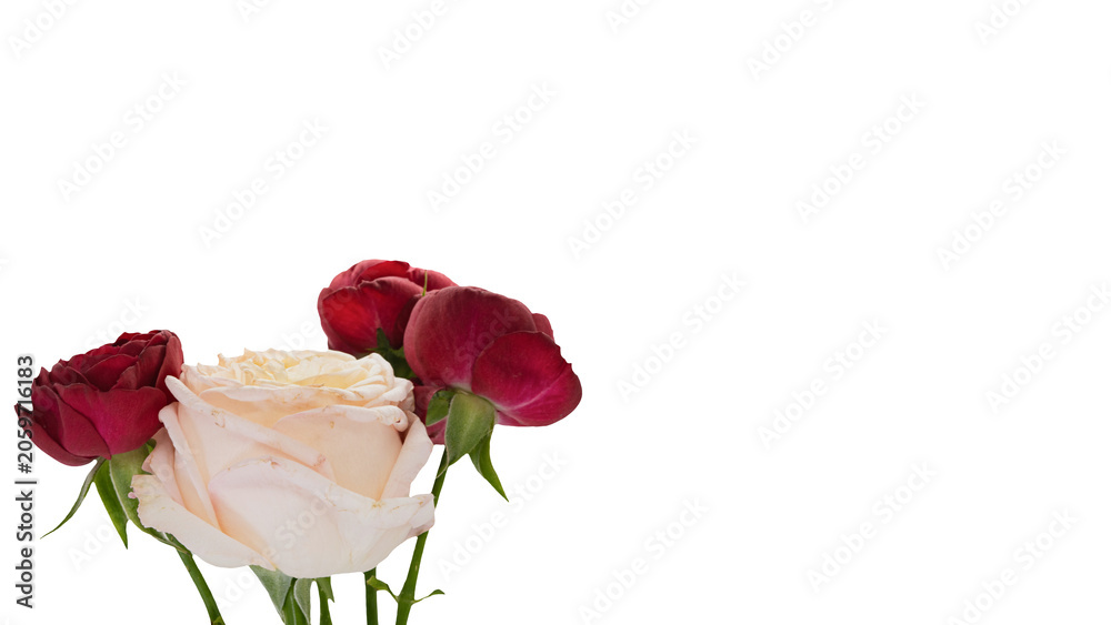 Fototapeta premium 白薔薇と赤薔薇のフラワーアレンジメント