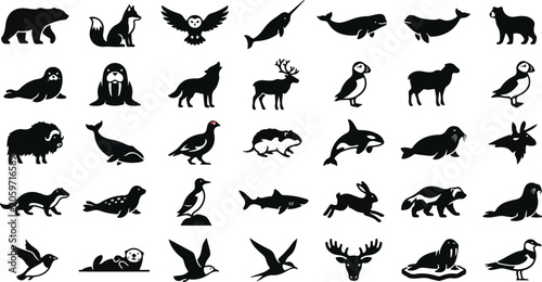 Photography Arctic and northern wildlife silhouette icons set