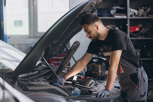 Bild auf Leinwand Car mechanic identifying engine problem during automobile diagnostic and regular