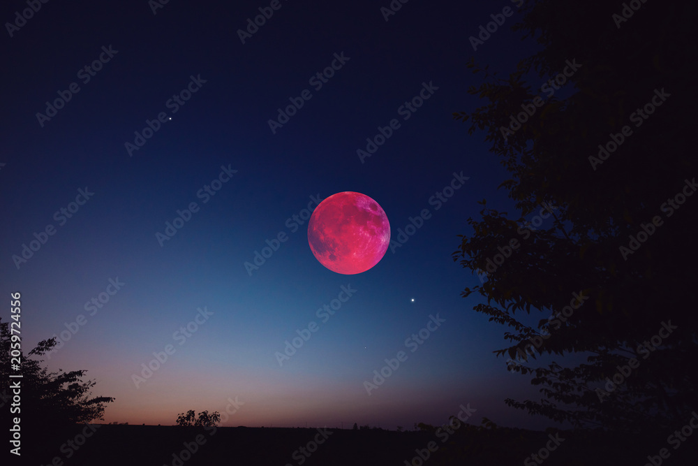 Fototapeta premium Lunar eclipse, stars and planets above landscape silhouettes.