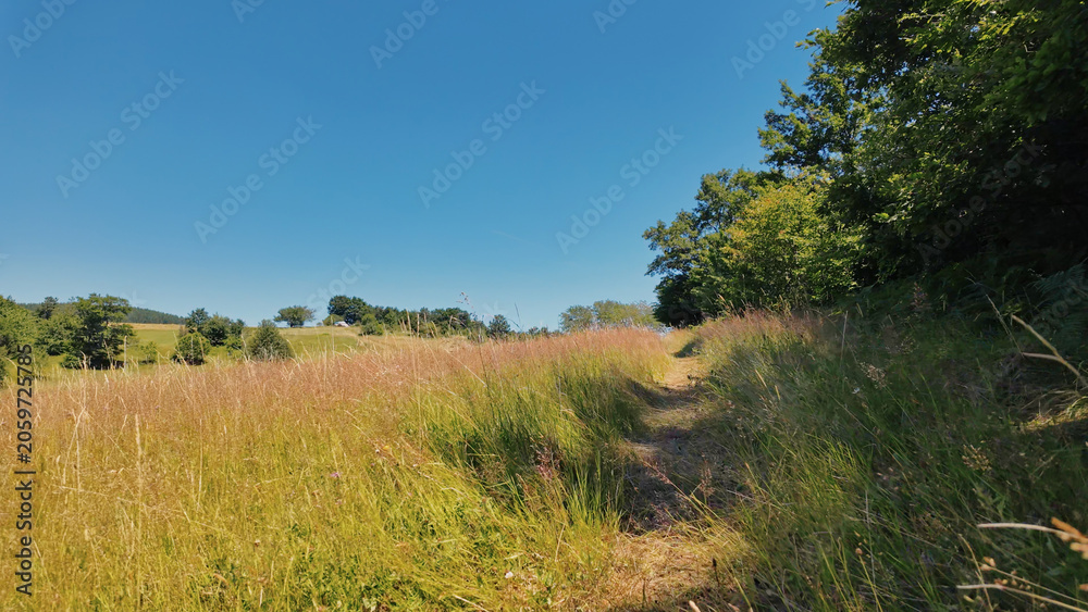 Fototapeta premium Tranquil sunny summer landscape with green fields and hills.