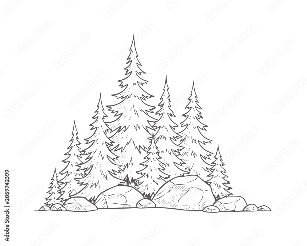 Fototapeta premium Hand drawn of evergreen trees and rocks in a forest setting nature black