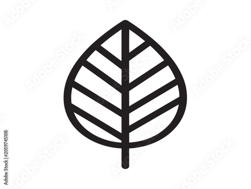 Leaf skeleton minimalist line vector line icon outline