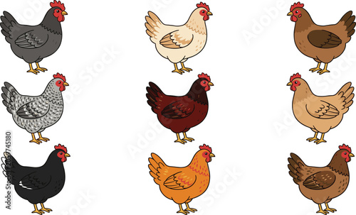 Картината върху платно Chicken breeds vector collection set featuring diverse farm hens including plymo