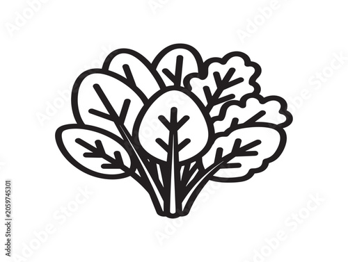 Fresh Leafy Greens Bundle Illustration in Minimalist Line Art Style