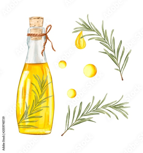 Watercolor Rosemary oil Set with Glass bottle, herb Branches and oil Drops. Good for Natural skincare Branding , Cosmetic packaging , aromatherapy products, Wellness Design 