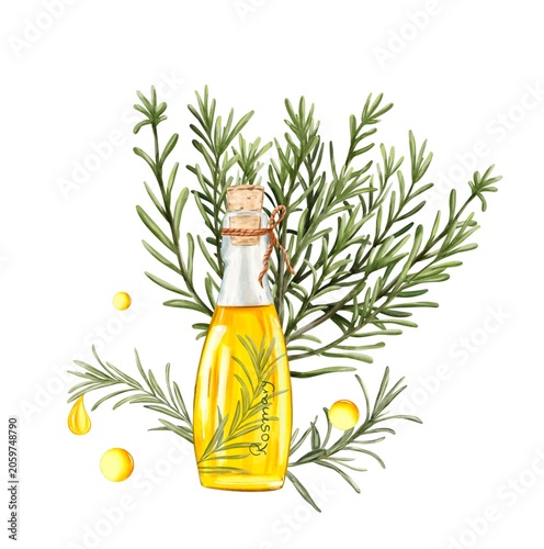 Rosemary composition with essential oil bottle, Rosemary plant, sprigs and oil Drops, watercolor botanical Illustration on White background. Perfekt for Natural skincare Branding, aromatherapy product