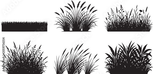 Fotografía Meadow Grass Border and Wild Reed Bushes Black Silhouette Vector Set for Archite