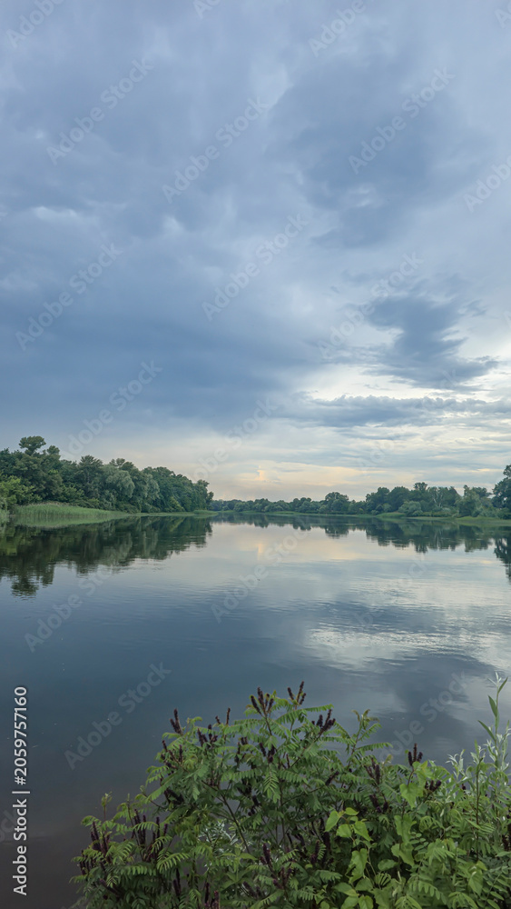 Obraz premium A deep river surrounded by trees and plants Thickets of reeds. Voluminous clouds