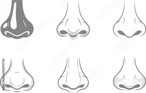 Tableau sur toile Six different styles of human noses illustrated in black and white