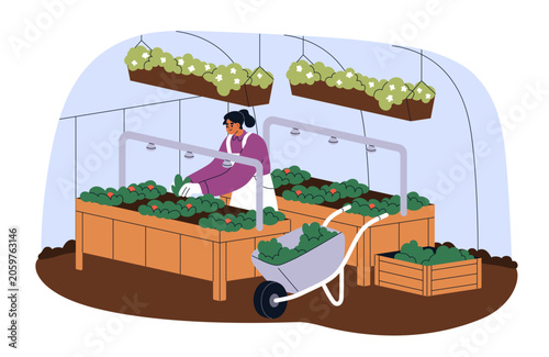 Woman farmer in greenhouse. Vegetable plants cultivation. Farm worker growing...