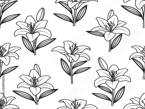 Lily Flower Pattern Line Art Illustration