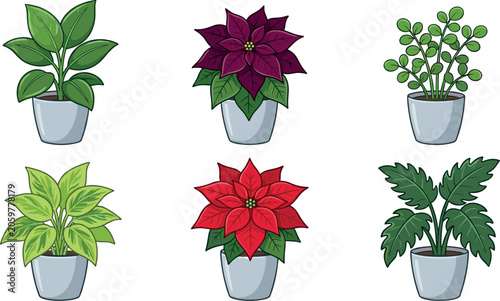 Cuadro en lienzo Potted Houseplants and Poinsettia Flower Vector Set for Interior Home Decoration