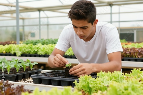 Young multiracial student works in school greenhouse tending to healthy plants. He selects seedlings for agriculture training activity among rows of leafy vegetables. His focus is on growth and care.