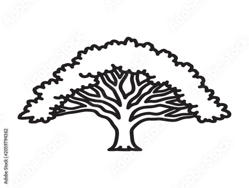 Line Art Oak Tree Icon Illustration Minimalist Nature Vector Outline