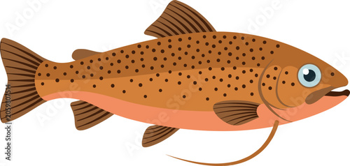 Stylized fish illustration with spotted body, whisker barbel, and bold eye, perfect for education, design, and aquatic themed projects.