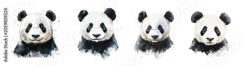 Photos My hand-painted watercolor of panda, featuring soft tones and artistic simplicity, isolated on white, EPS vector ready