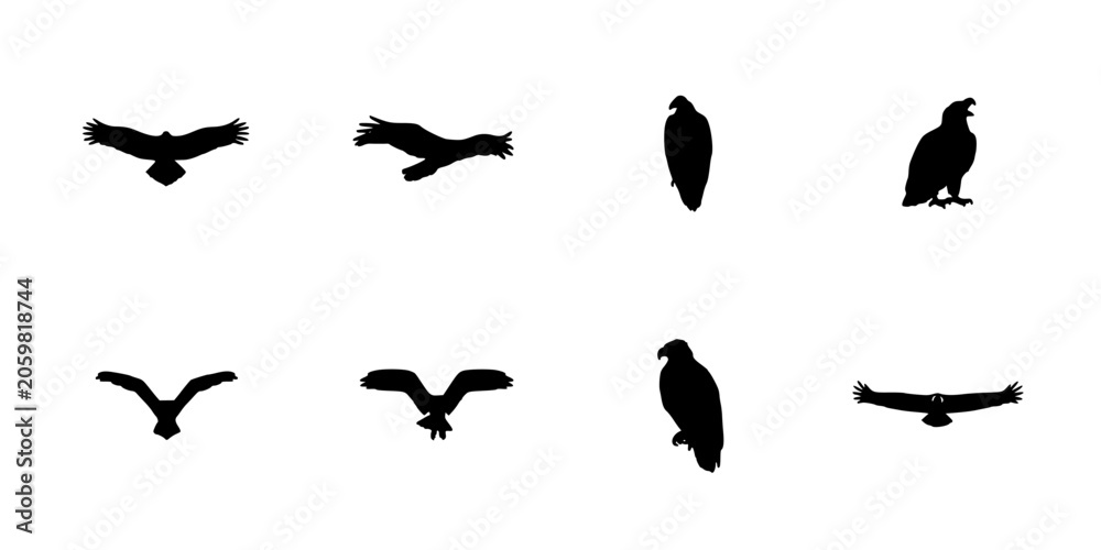 Fototapeta premium Birds in Various Poses and Flight Styles Depicted as Black Silhouettes Featuring White, Flying, Perched with Soaring and Gliding Elements for Wings