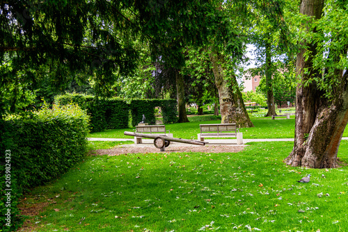 bench in the park