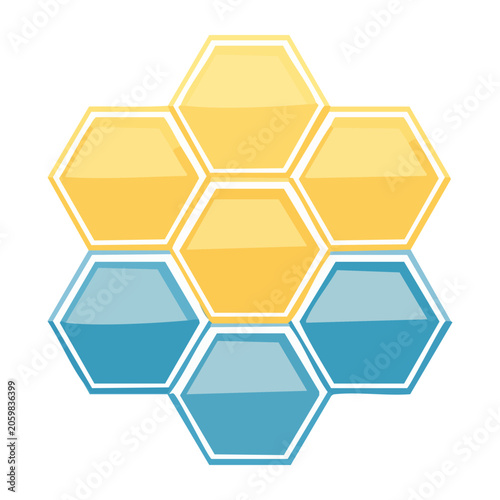 Colorful Hexagon Honeycomb Pattern Vector