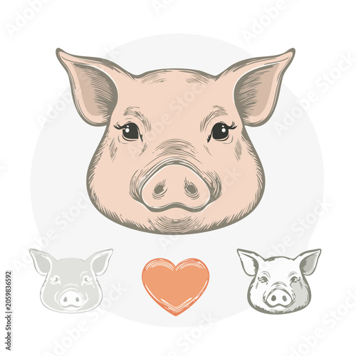 Cute Pig Face Illustration with Heart