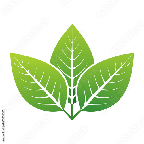 Three Green Leaves Icon with Transparent Background