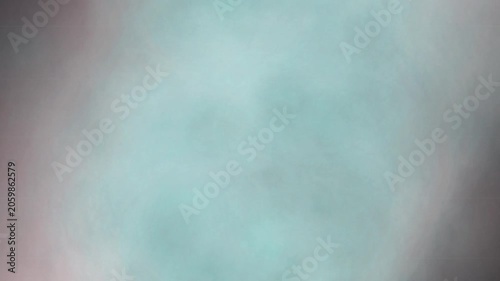 Ruby feathered branch ink diffusion blooming in water 4K loop