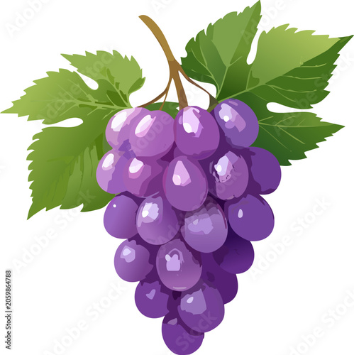 A bunch of purple grapes with green leaves.