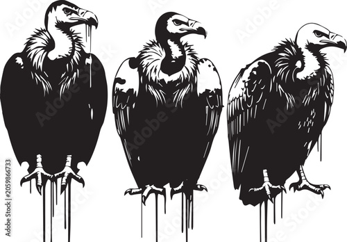 Obraz na plátně Vulture silhouette vector set with creepy condor scavenger birds collection isol