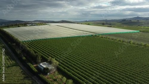 Rise over green hill of vineyards, reveal the town and mountains of Stellenbosch behind 