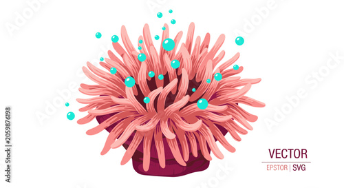 Photos Sea anemone with flowing pink tentacles and floating water bubbles