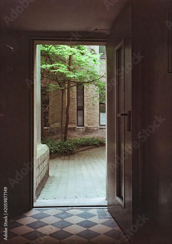 Картината върху платно Open Door Revealing Green Tree in Old Building Courtyard