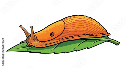 Tableau sur toile Large orange slug crawling on a green garden leaf