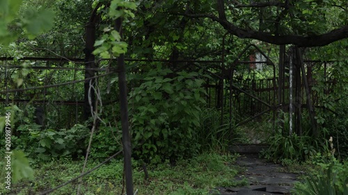 Overgrown garden gate with weathered stone path and lush green foliage