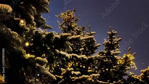 Snowy Christmas Tree Tops With Golden Lights at Night — Holiday Background for Films