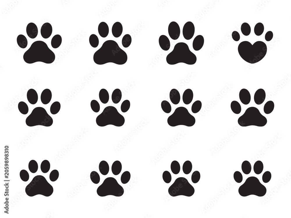 Fototapeta premium Paw prints arranged in a grid pattern feature eleven standard animal tracks and one singular heart shaped icon on a clean white background.
