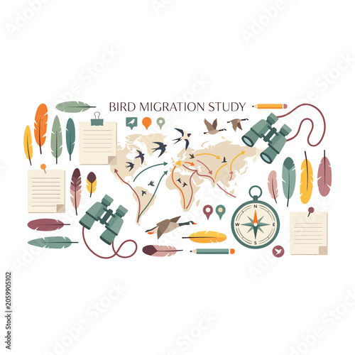 Bird Migration Study Illustration Elements.