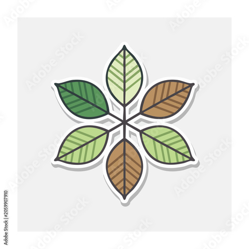 Five stylized leaves in flat design