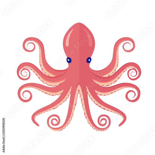 Pink Octopus Illustration with Transparent Background