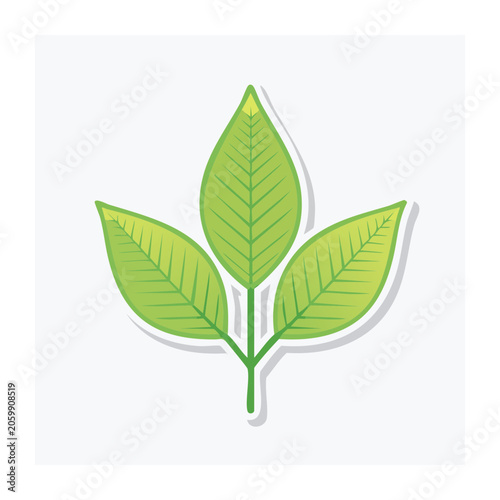 Green Leaf Icon with Transparent Background