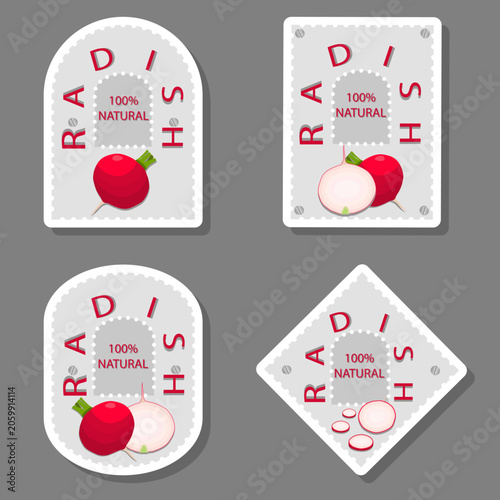 Set tasty natural eco product vegetable radish